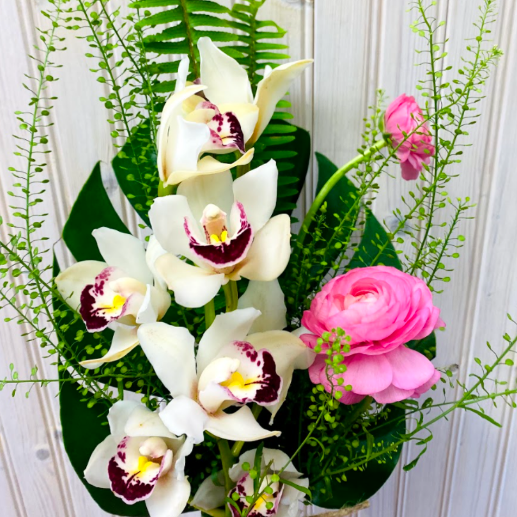 Cymbidium