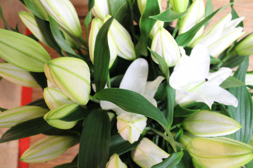 Gros Abonnement (12 bouquets)
