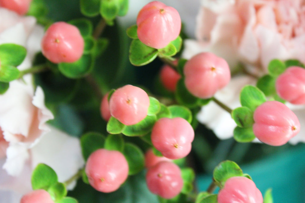 Petit Abonnement (5 bouquets)